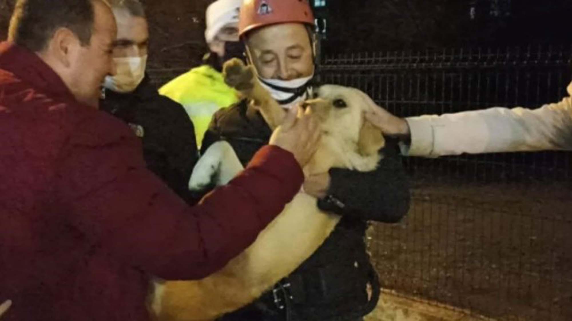 Bolu'da sahibi tarafından sokağa bırakılan köpeğin son halini görenler göz yaşlarını tutamadı! Kaldığı yer yürekleri sızım sızım sızlattı!