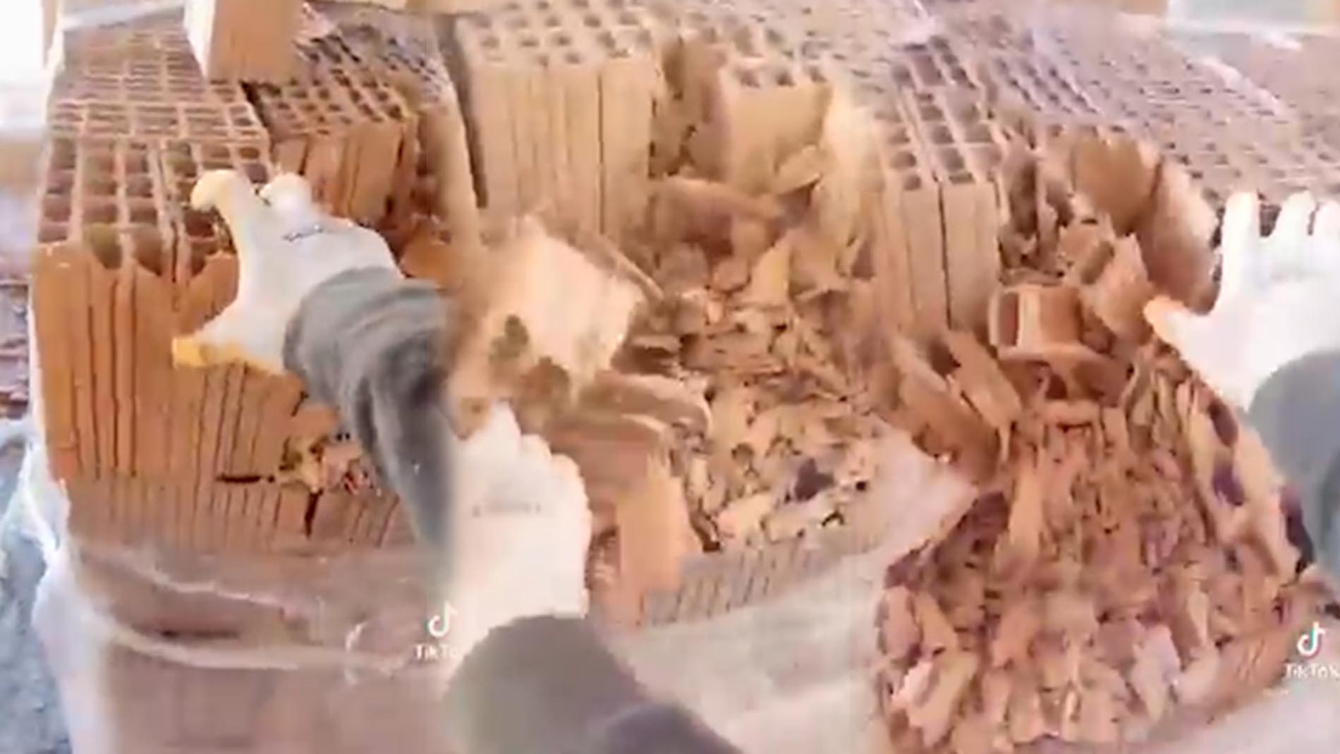 Tuğlalar dokunur dokunmaz tuzla buz oldu! İnşaat işçisinin paylaştığı şok edici görüntü sosyal medyada viral oldu!