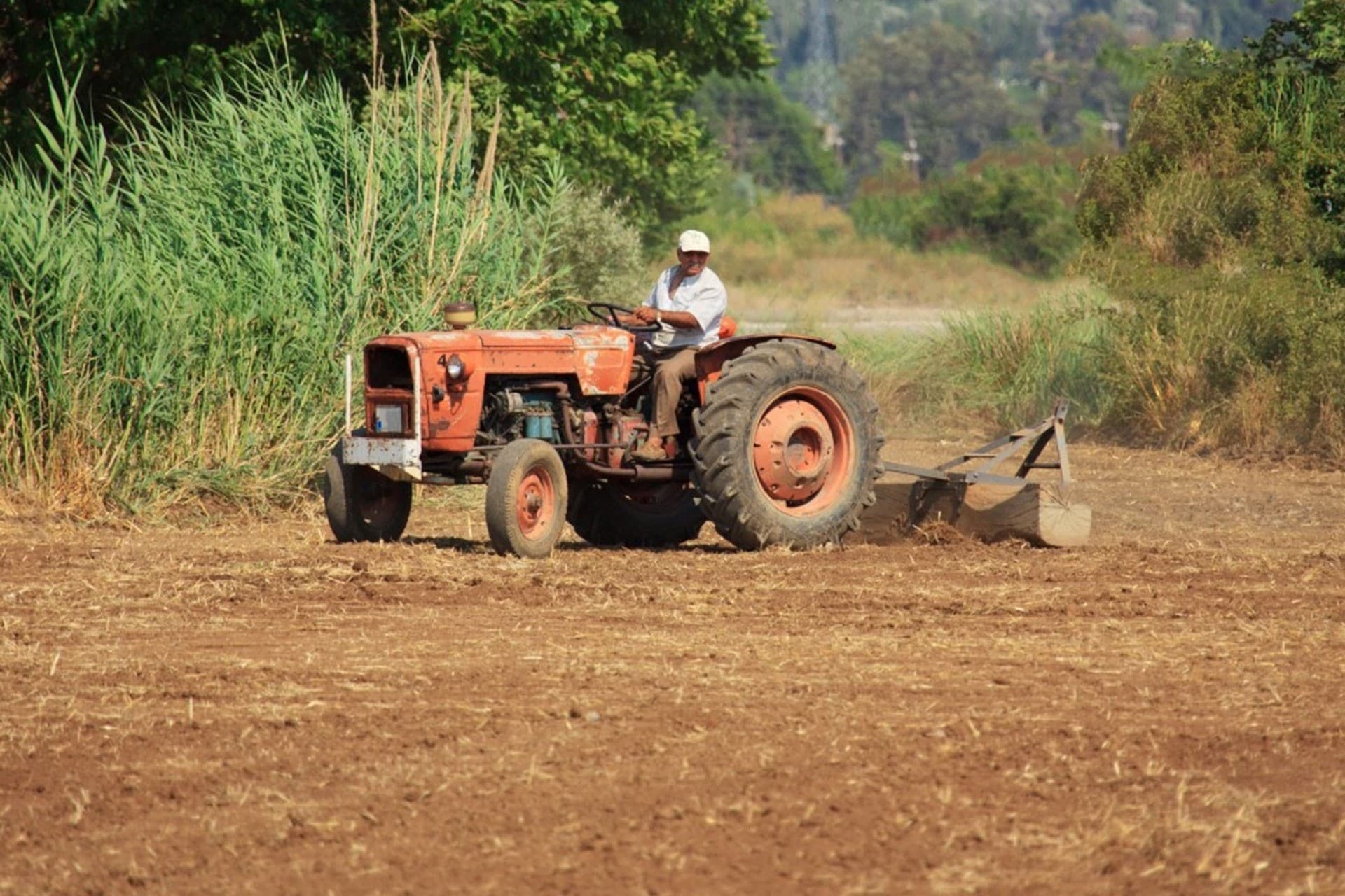 Tarımsal destek ödemeleri başladı mı? Ne zaman başlayacak? Kimlere verilir?