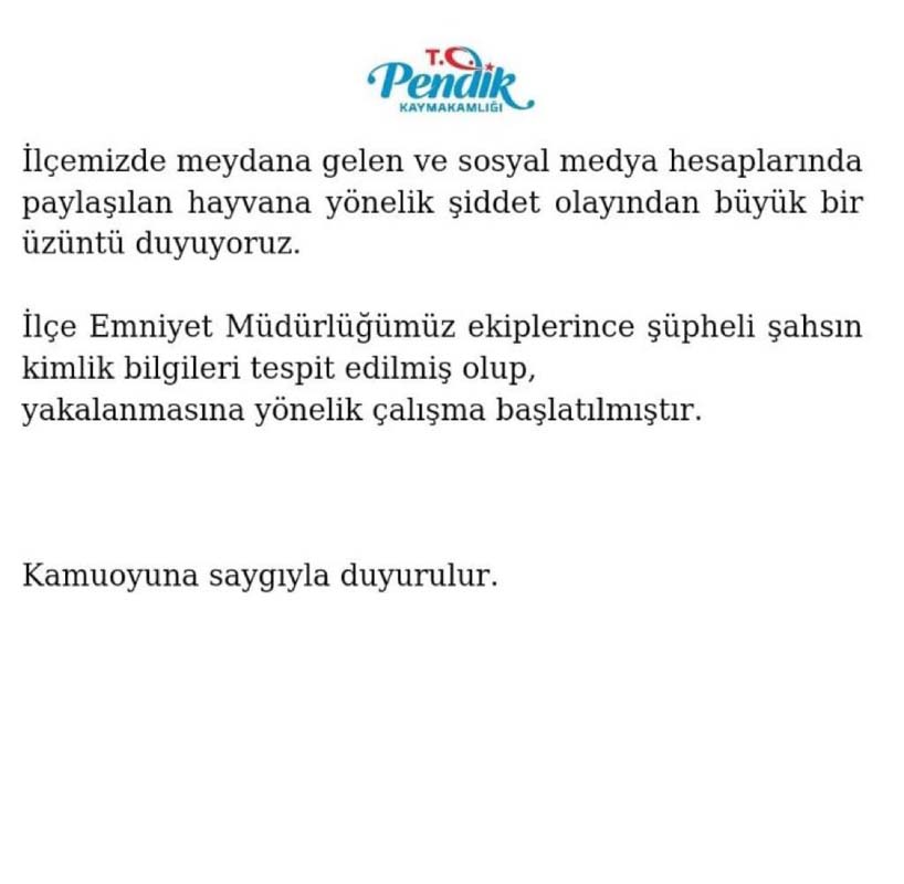 Pendik'te bir adam köpeğe canice şiddet uyguladı! Kaymakamlık harekete geçti! Kimlik bilgileri tespit edildi