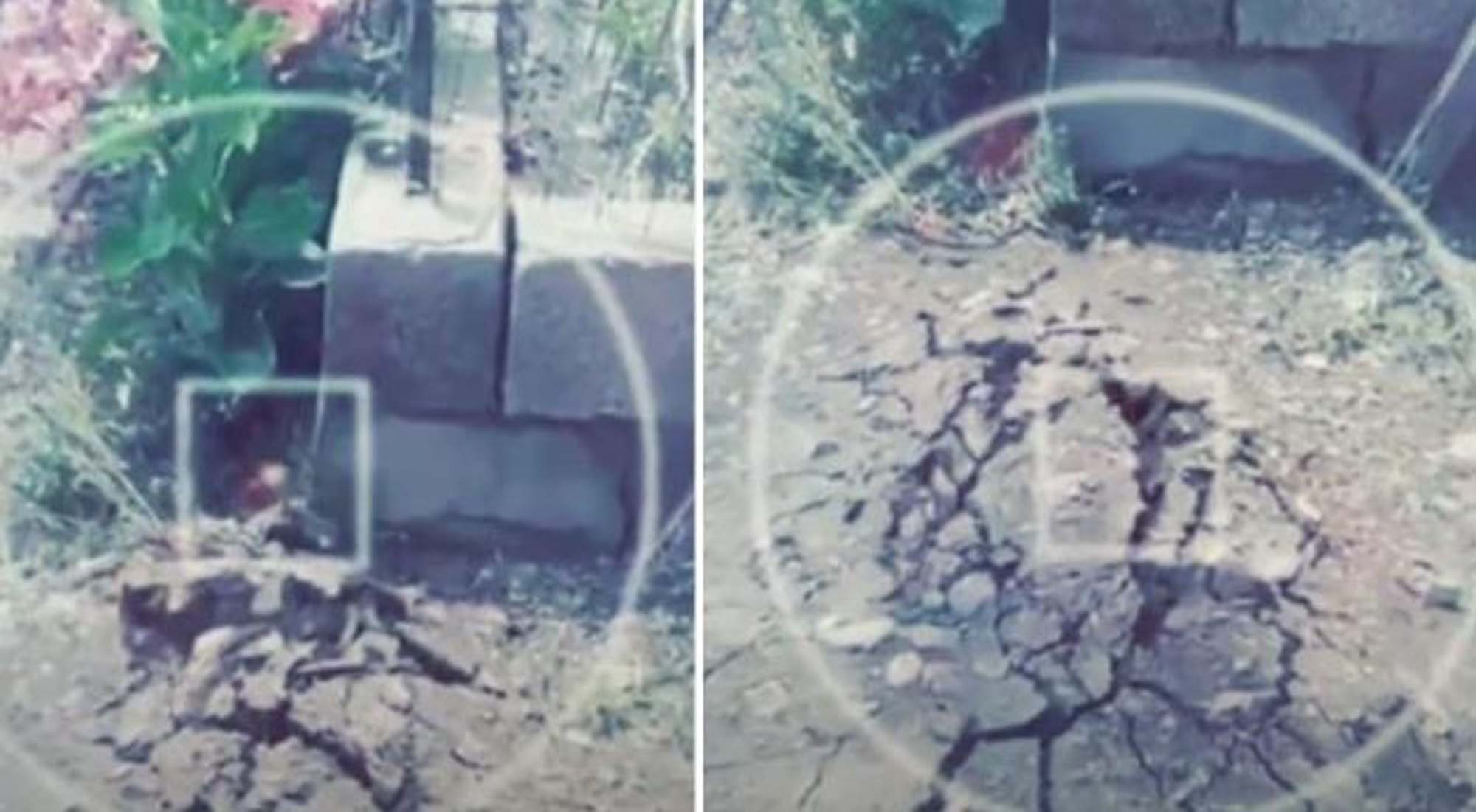 Türkiye'de toprağı yaran dev yılan, görenlerin dudağını uçuklattı! Deprem sanıldı ancak, süzülüşü yürekleri ağza getirdi!