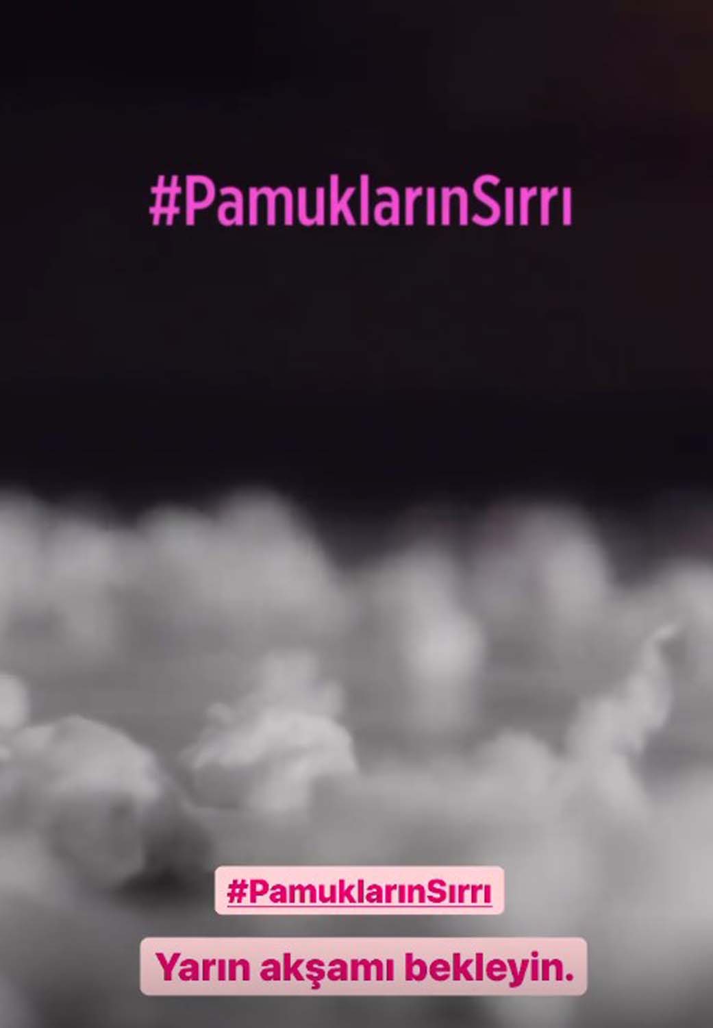 Müge Anlı Pamukların Sırrı nedir? Müge Anlı Pamukların Sırrı ne anlama geliyor?