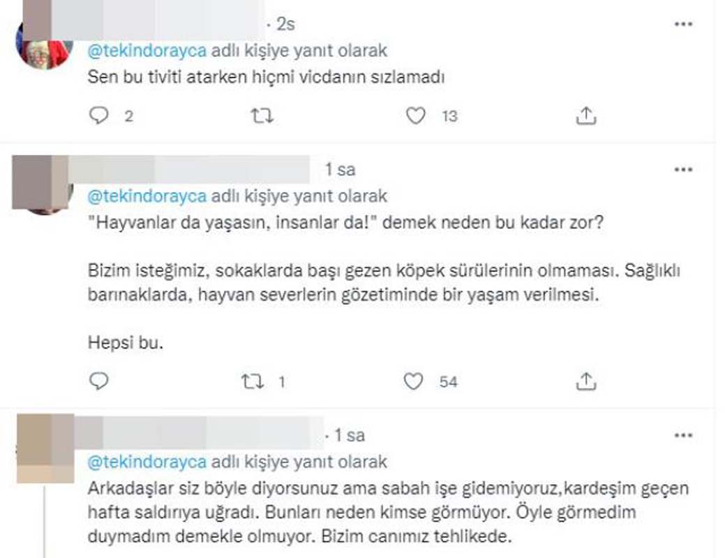 'Yıkılıyo' şarkısıyla şöhrete kavuşan Ayça Tekindor'dan akılalmaz paylaşım! Pitbull saldırısına uğrayan küçük kızın hayati tehlikesi sürerken söyledikleri sosyal medyayı ayağa kaldırdı!