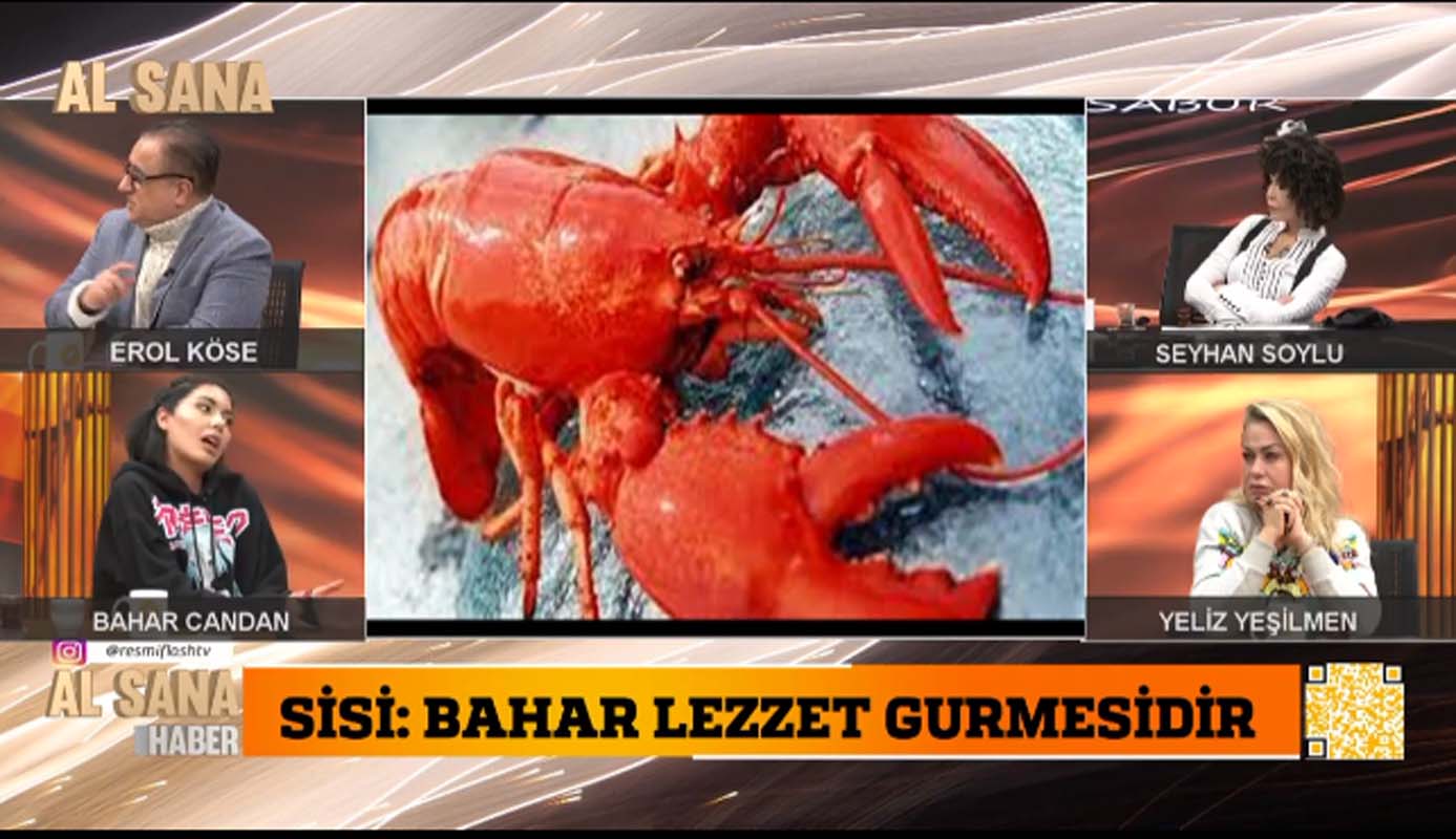 Bahar Candan yanlışlıkla vajina yediğini canlı yayında itiraf etti! Seyhan Soylu nasıl toparlayacağını şaşırdı! Al Sana Haber'de sansasyonel olaylar bitmiyor!