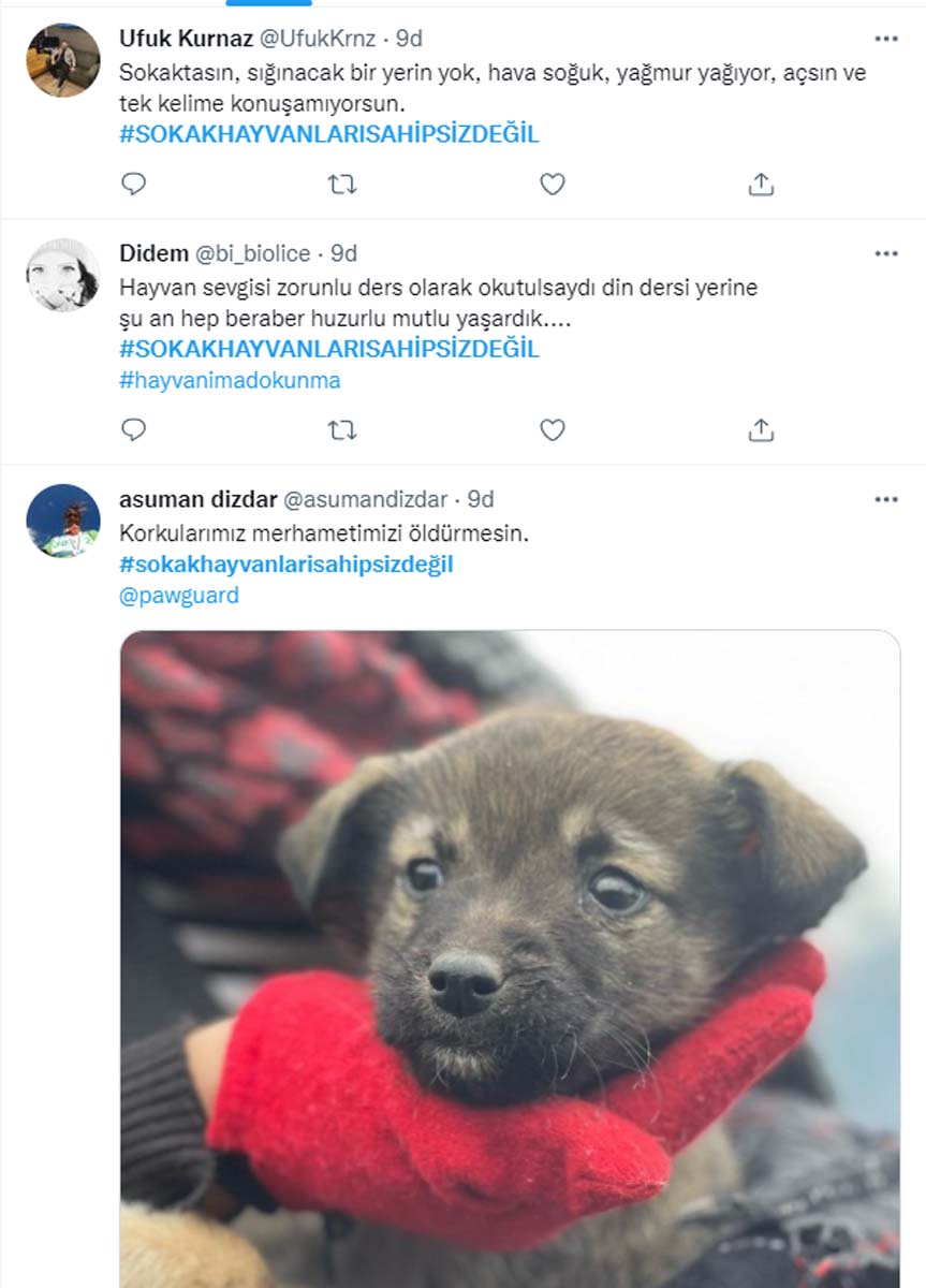 Sokak hayvanları toplanmaya başladı! Vatandaşlar toplanmaması için binlerce paylaşım yaptı! Sokak hayvanları sahipsiz değildir