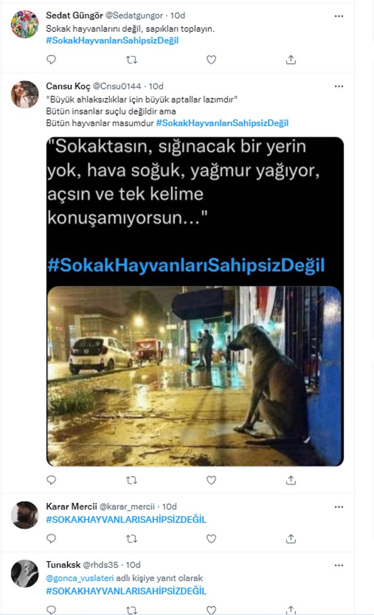 Sokak hayvanları toplanmaya başladı! Vatandaşlar toplanmaması için binlerce paylaşım yaptı! Sokak hayvanları sahipsiz değildir