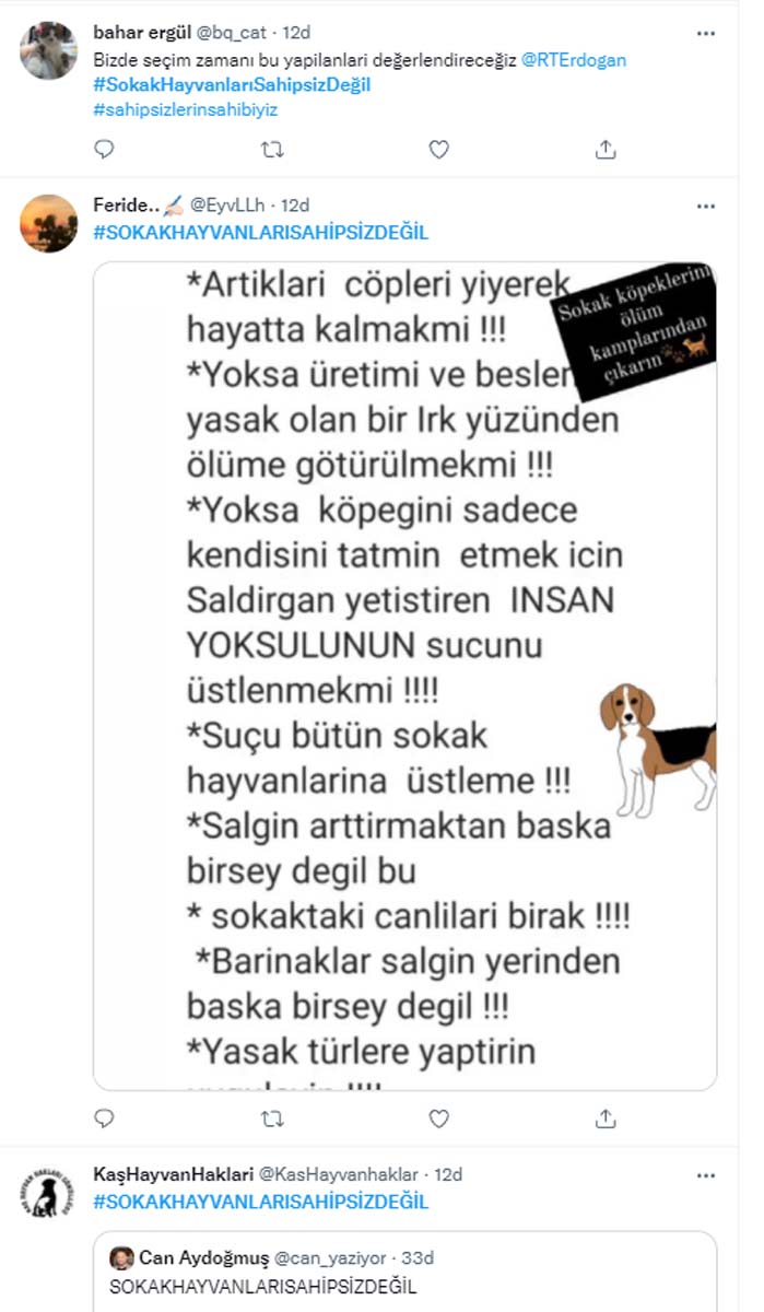 Sokak hayvanları toplanmaya başladı! Vatandaşlar toplanmaması için binlerce paylaşım yaptı! Sokak hayvanları sahipsiz değildir