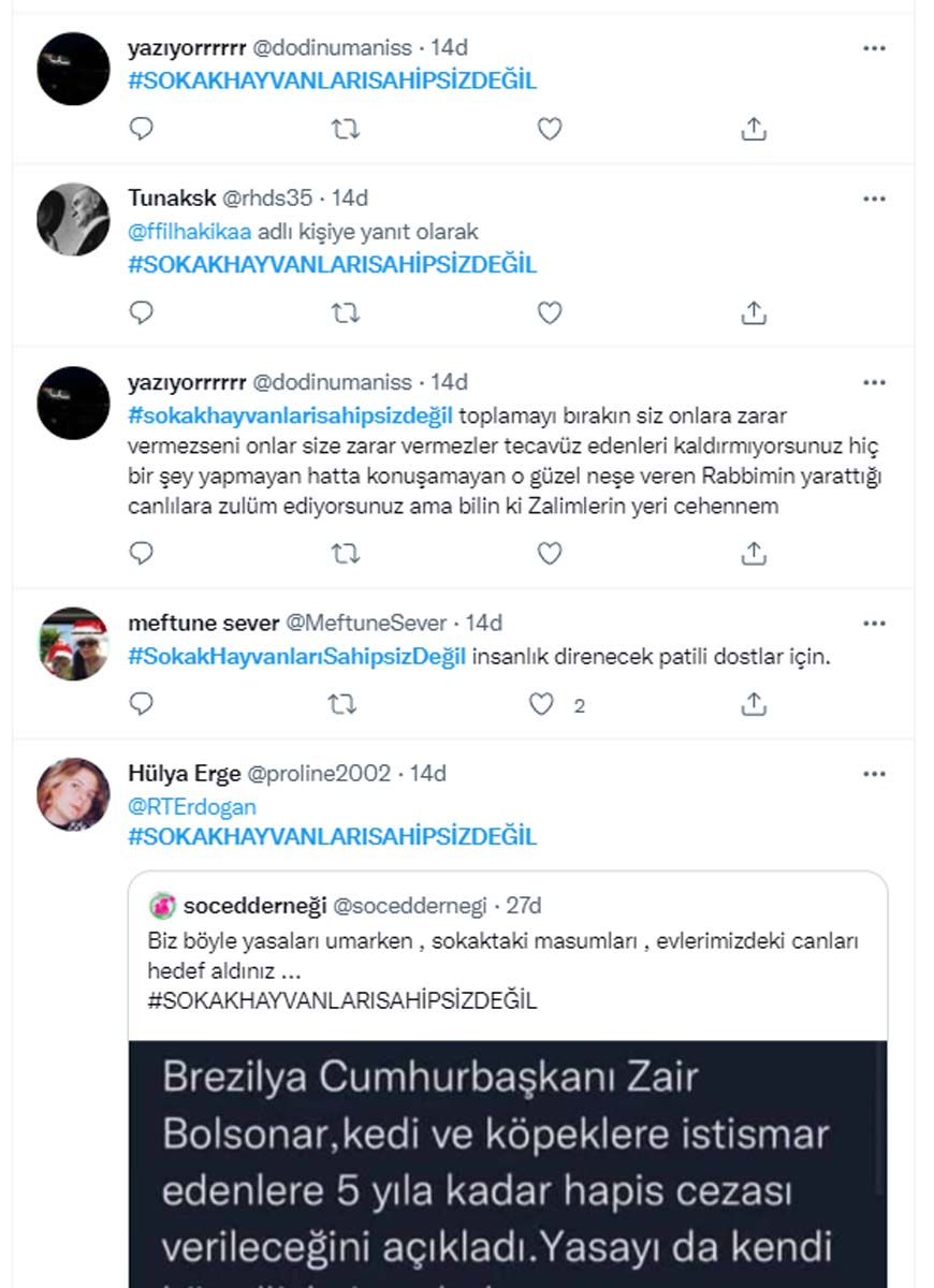 Sokak hayvanları toplanmaya başladı! Vatandaşlar toplanmaması için binlerce paylaşım yaptı! Sokak hayvanları sahipsiz değildir