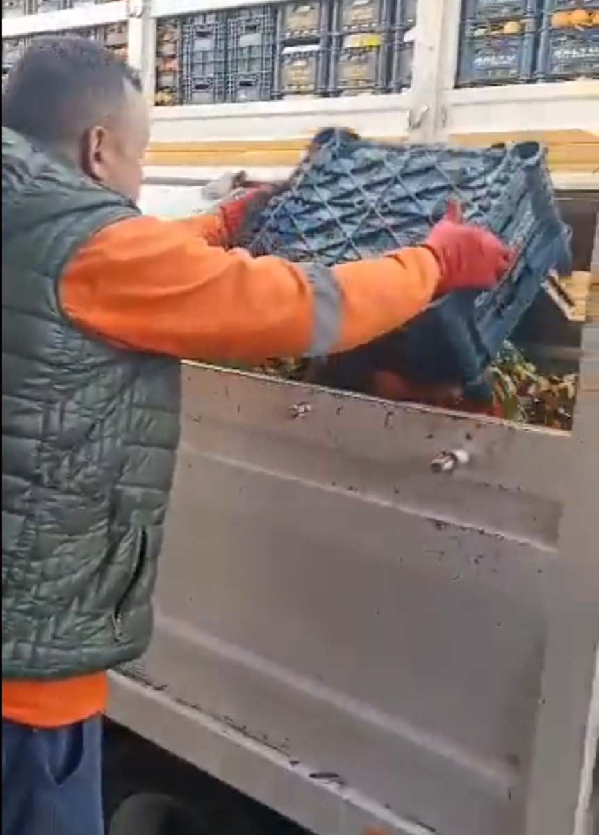 Adana Sebze Hali'nde tepki çeken görüntü! Sapa sağlam meyveleri çöpe döktüler! 