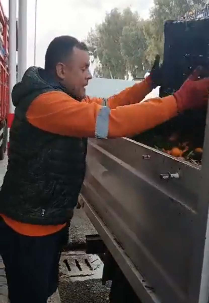 Adana Sebze Hali'nde tepki çeken görüntü! Sapa sağlam meyveleri çöpe döktüler! 