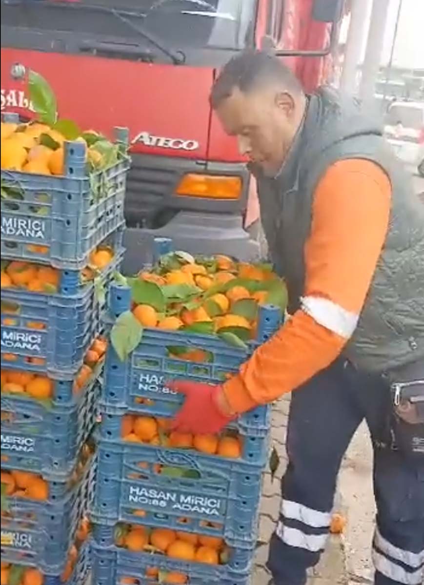 Adana Sebze Hali'nde tepki çeken görüntü! Sapa sağlam meyveleri çöpe döktüler! 