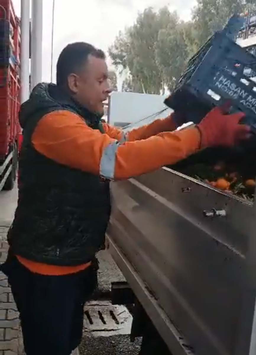 Adana Sebze Hali'nde tepki çeken görüntü! Sapa sağlam meyveleri çöpe döktüler! 