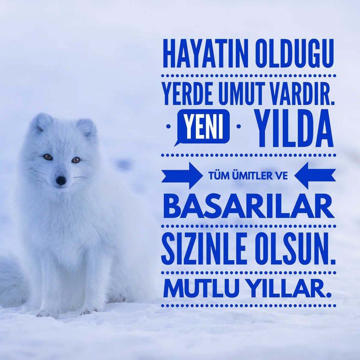 Yeni yıl mesajları resimli 2023 | Komik, uzun, kısa en güzel yılbaşı mesajları | Sevgiliye, arkadaşa mesajlar 2023