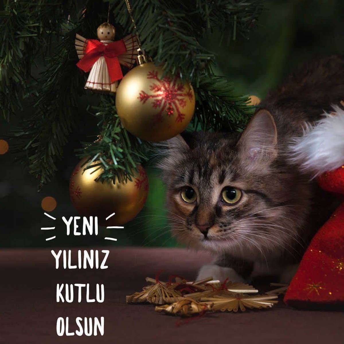 Yeni yıl mesajları resimli 2023 | Komik, uzun, kısa en güzel yılbaşı mesajları | Sevgiliye, arkadaşa mesajlar 2023