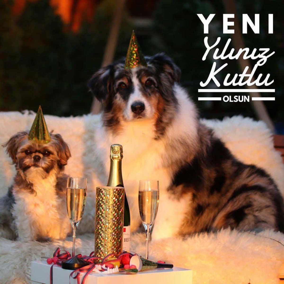 Yeni yıl mesajları resimli 2023 | Komik, uzun, kısa en güzel yılbaşı mesajları | Sevgiliye, arkadaşa mesajlar 2023