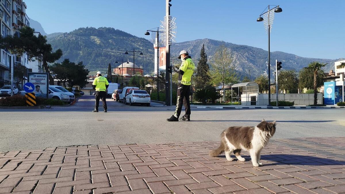 Türkiye'de sokağa çıkma yasağı geri gelecek mi? Omicron varyantı için kapanma uygulanacak mı?