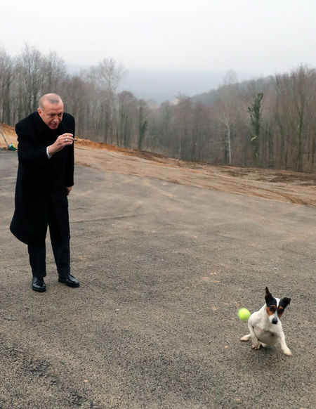 Cumhurbaşkanı Erdoğan'ın barınakta sevdiği Maylo isimli köpeği sahipleniyor