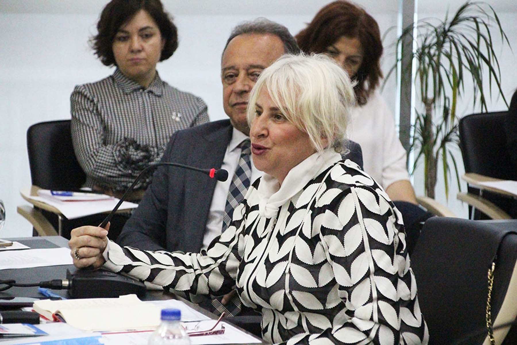 CHP'li Çanakkale Belediye Başkanı Ülgür Gökhan'ı çıldırtan bedava elektrik önergesi: Burası Kılıçdaroğlu'nun yönettiği bir Meclis değil