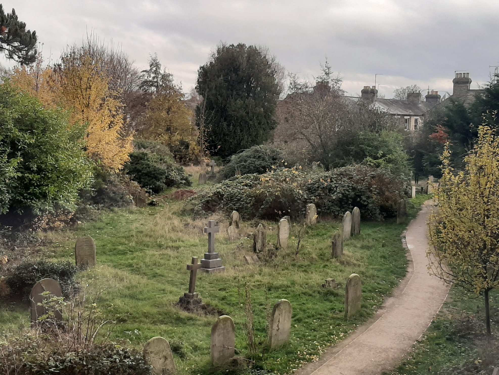 Rüyada akrabanın öldüğünü görmek | Rüyada akrabasını görmek tabiri