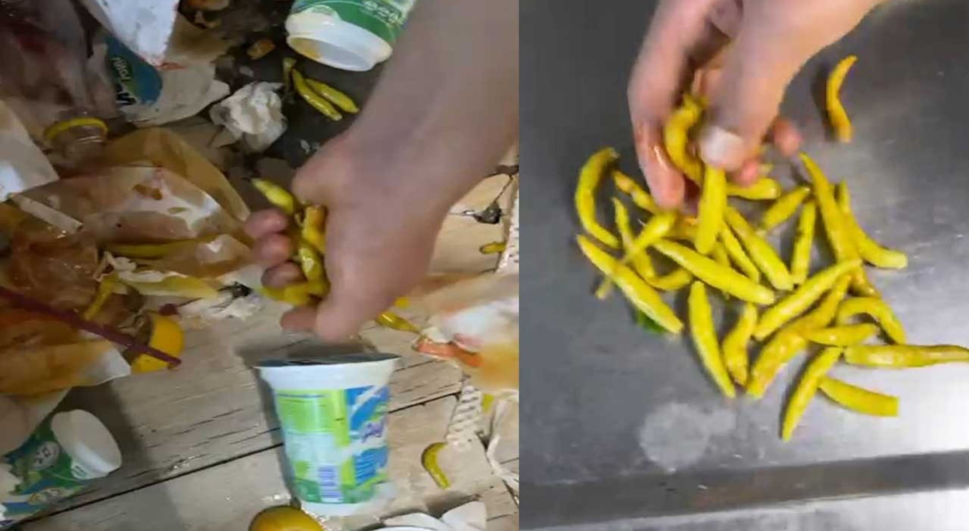 Biberlerin ziyan olmasından yakınan pişkin tantunici ettiğini buldu! Şimdi biber verecek müşteri bulamıyor!