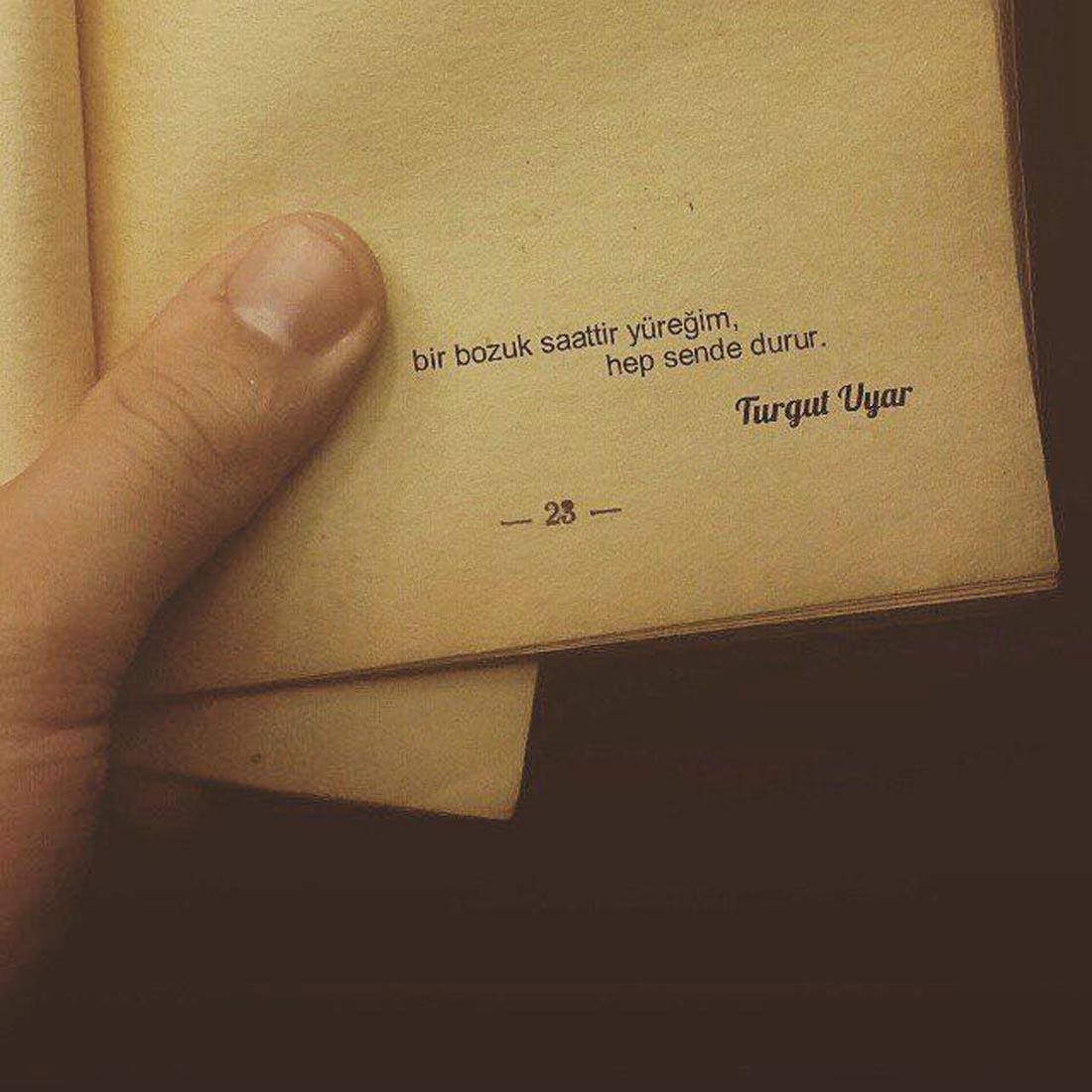 En etkili iltifatlar 2022 resimli | Sevgiliye iltifat ve aşk sözleri kısa, uzun, komik, romantik