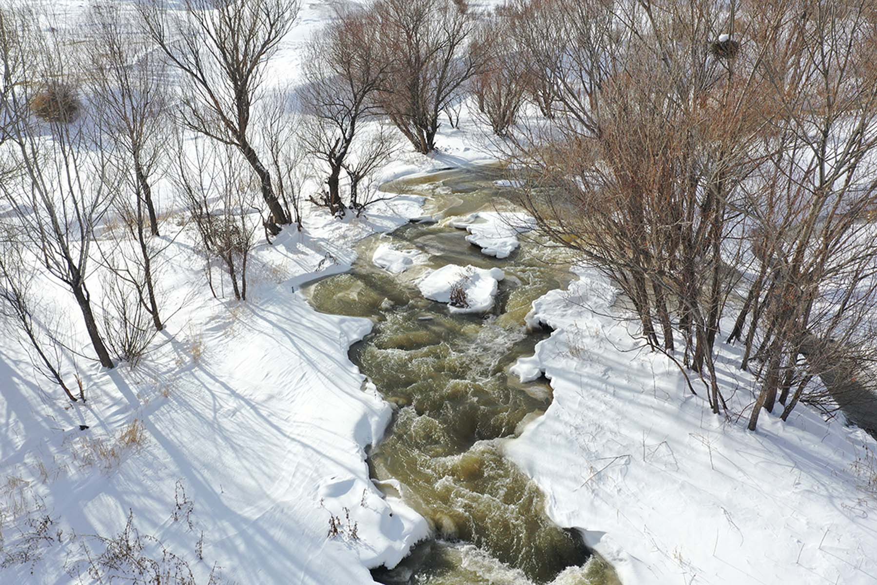 Meteoroloji açıkladı, adeta buz kestiler! Türkiye'nin en soğuk ili -32 derece ile Ağrı oldu 