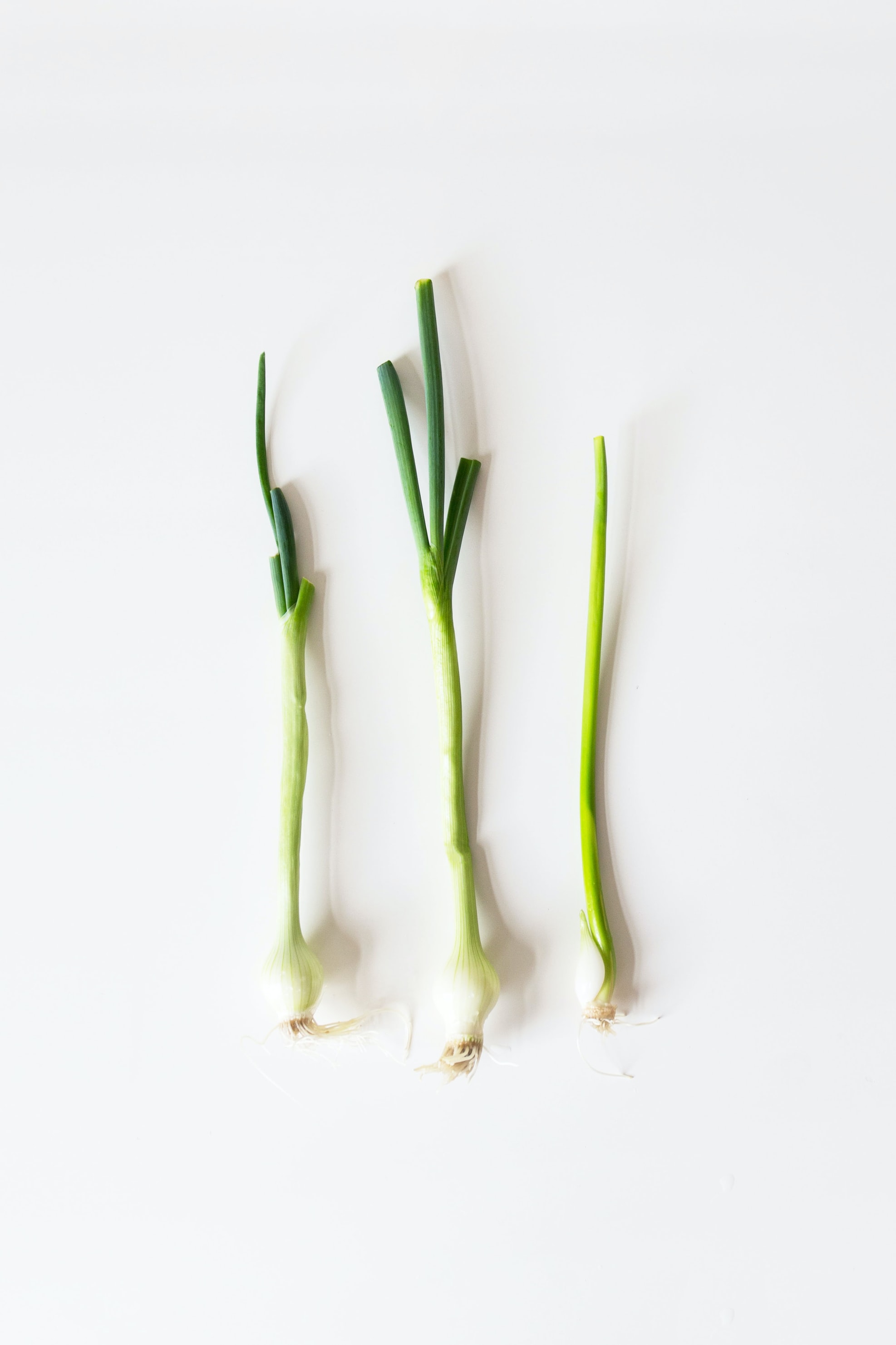 Rüyada yeşil soğan görmek