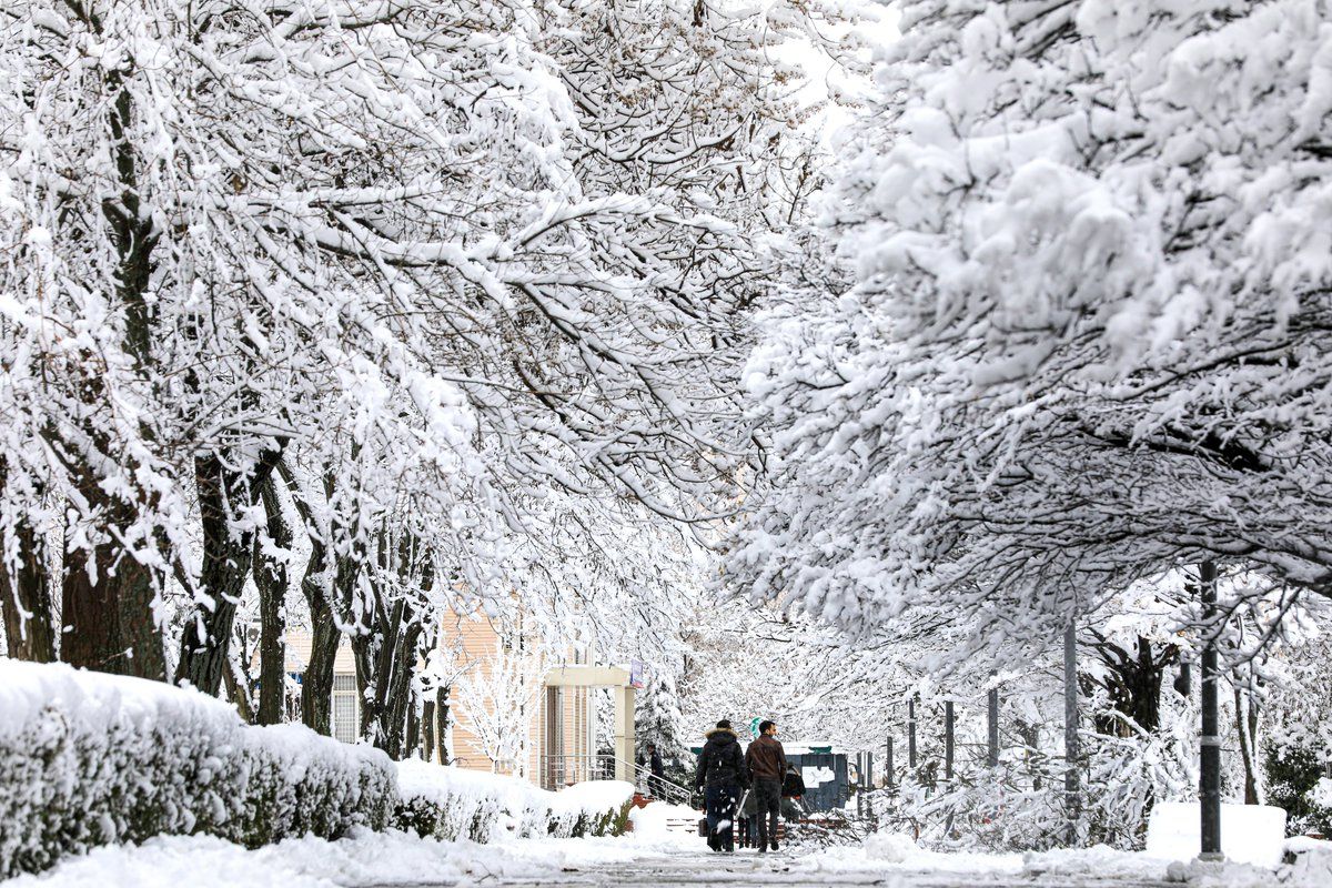  Kar nedeniyle birçok ilde hamile ve engelli kamu görevlileri izinli sayılacak