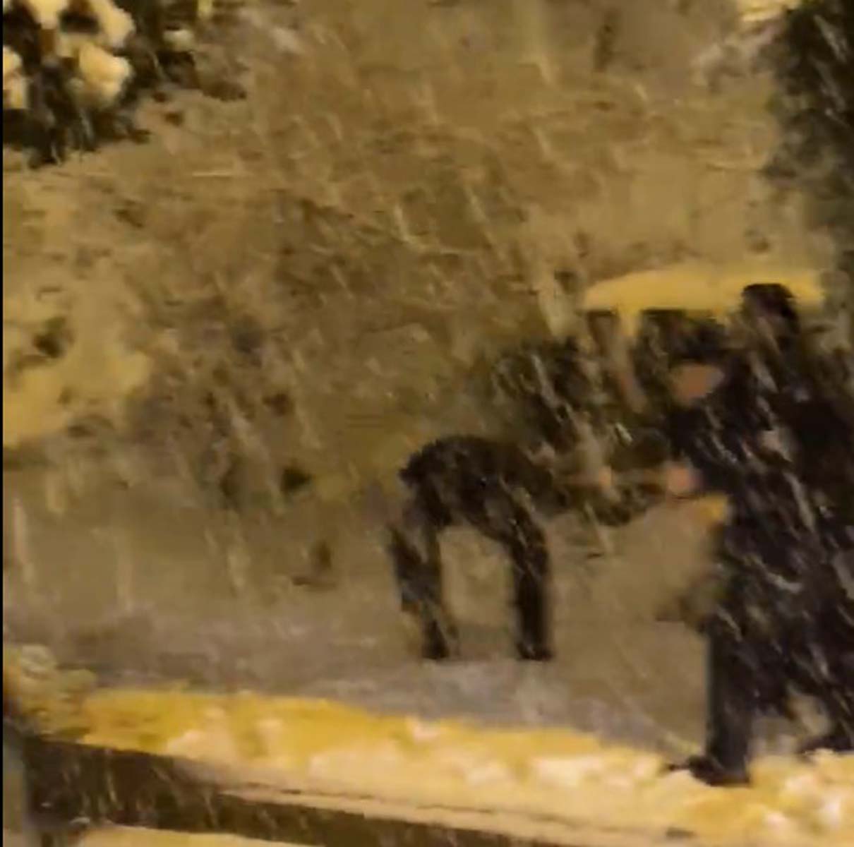 İstanbul'da kar yağışının keyfini çıkardılar! Vatandaşlar ve polisler kar topu savaşı yaptı