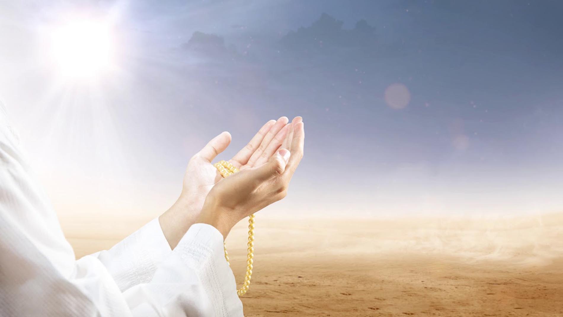 Köpek beslenen evde namaz kılınır mı caiz midir? Diyanet İşleri Başkanlığı