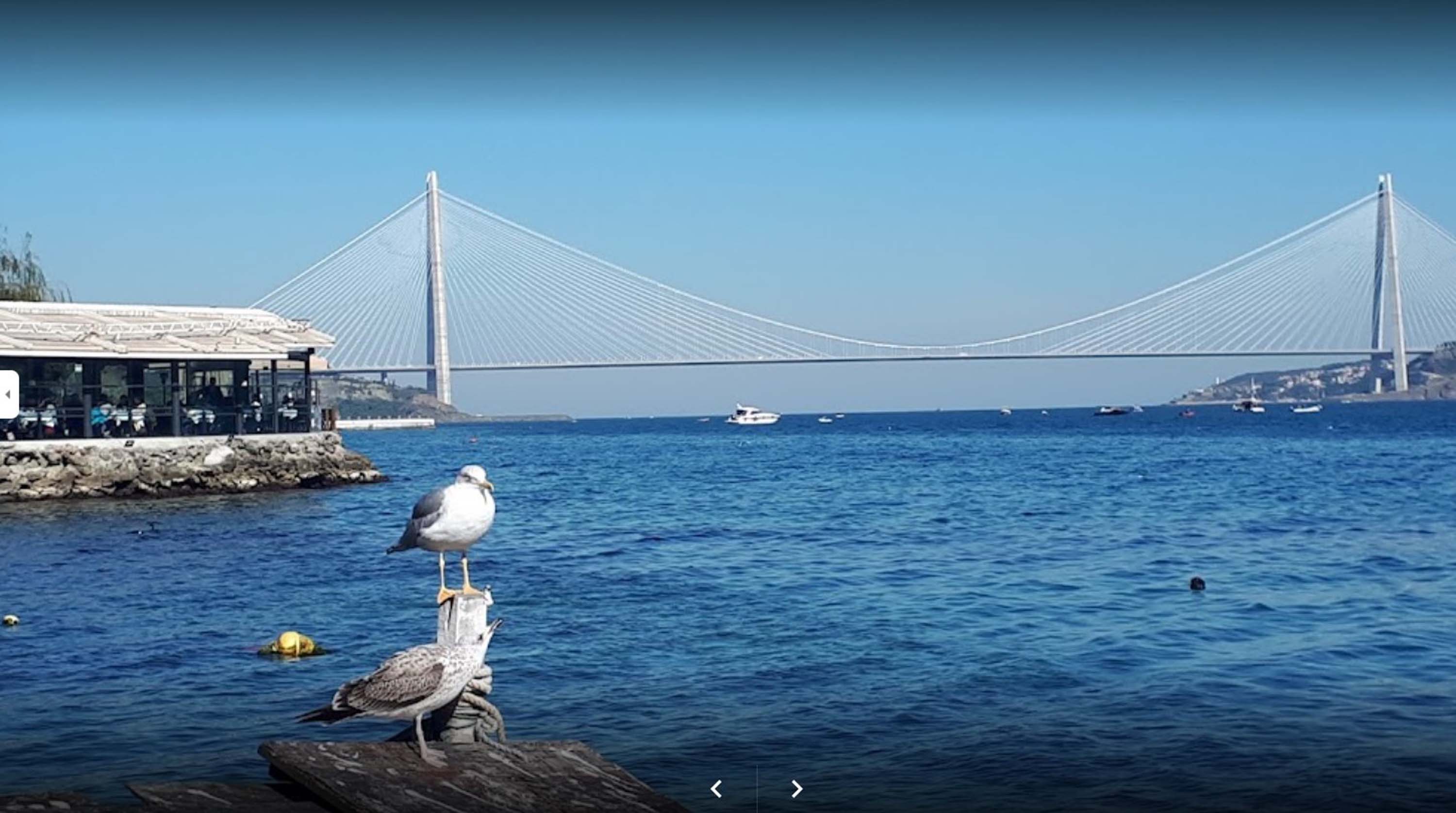 Ekrem İmamoğlu'nun gittiği balıkçı nerede, sahibi kim? Balıkçı Kahraman nerede, adresi, hangi ilçede, hangi semtte? Balık Kahraman menü fiyatları 2022