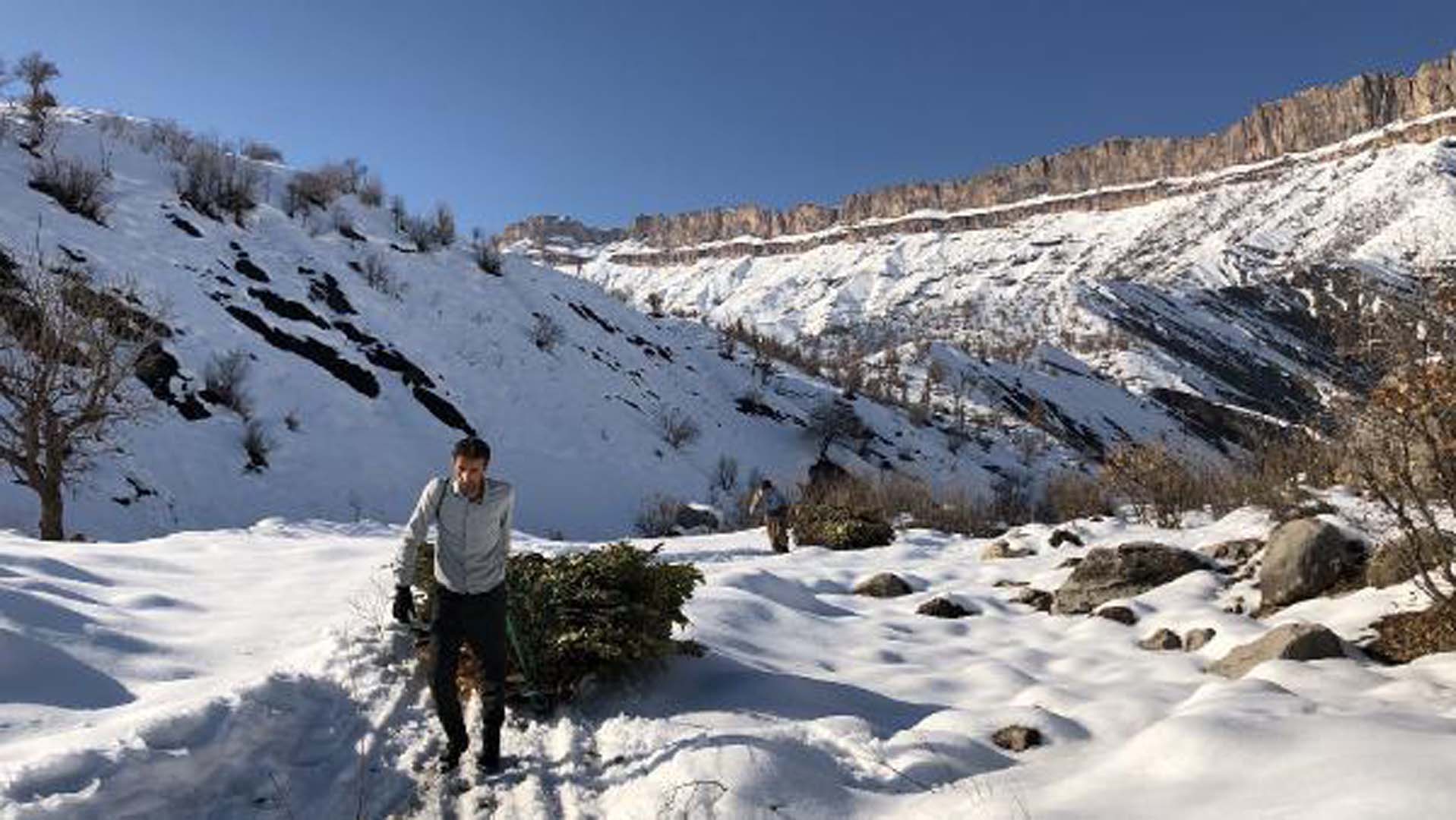 Balkaya dağından hayvanları için ot ve yaprak getiriyorlar !