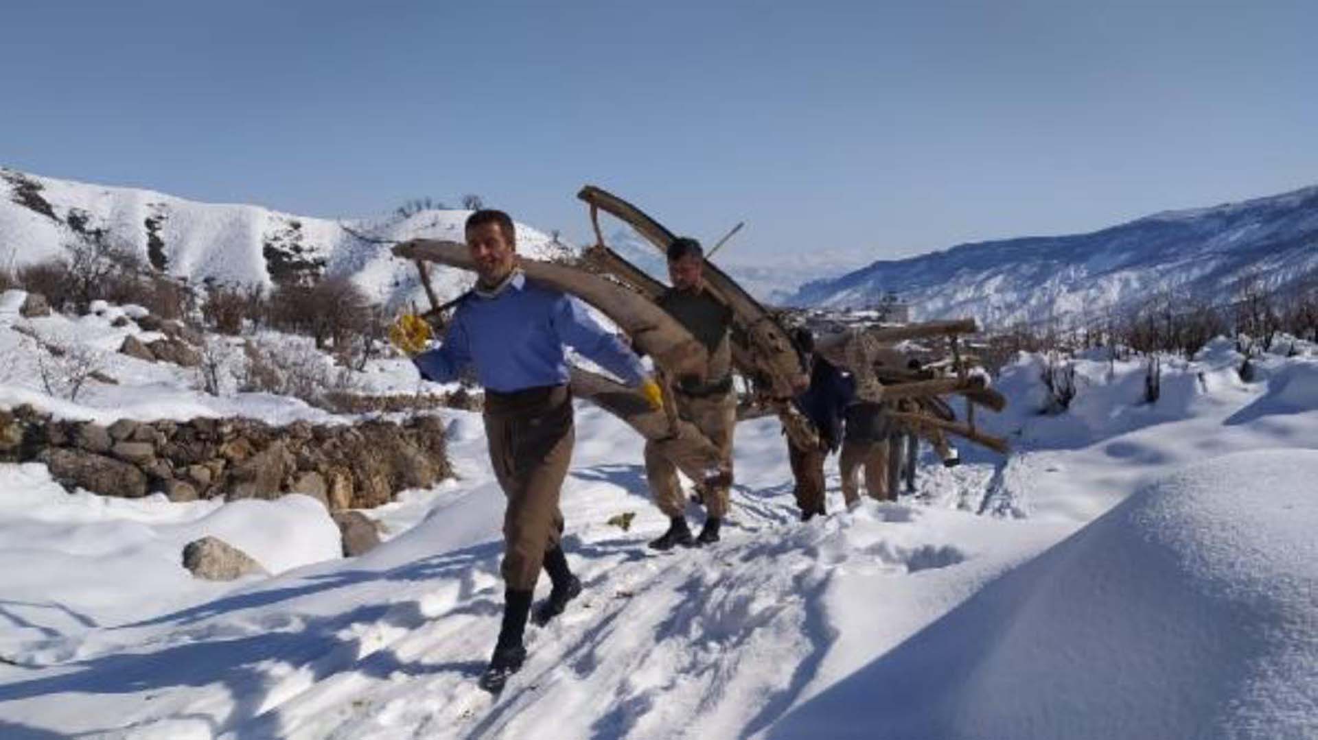 Balkaya dağından hayvanları için ot ve yaprak getiriyorlar !