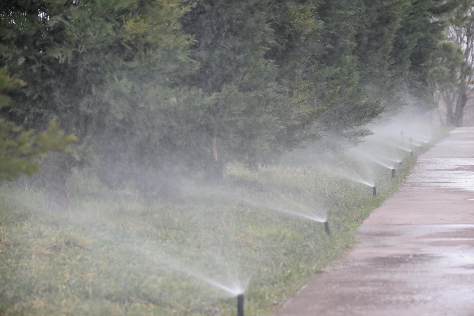 Tonlarca su tasarrufu sağlanacak: Pendik Belediyesi parklara akıllı sulama sistemi kuruyor