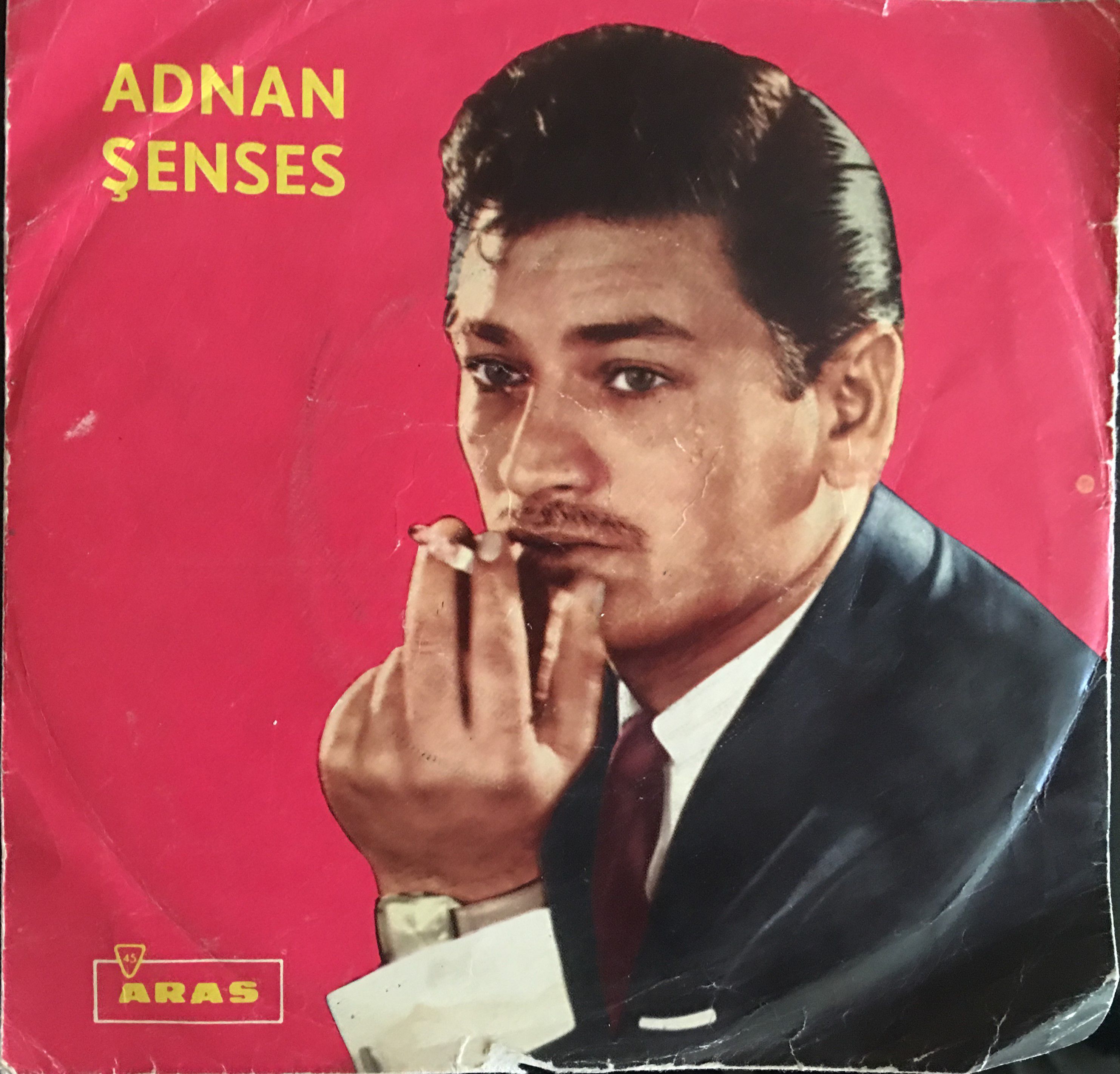 Adnan Şenses Kimdir, Nerelidir, Nerede Doğdu? Kaç yaşında Öldü?