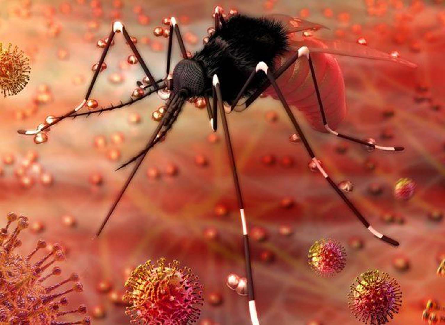 Koronavirüsten sonra şimdi de bu! DSÖ'den yeni salgın uyarısı: Sinyaller alıyoruz, risk artıyor!