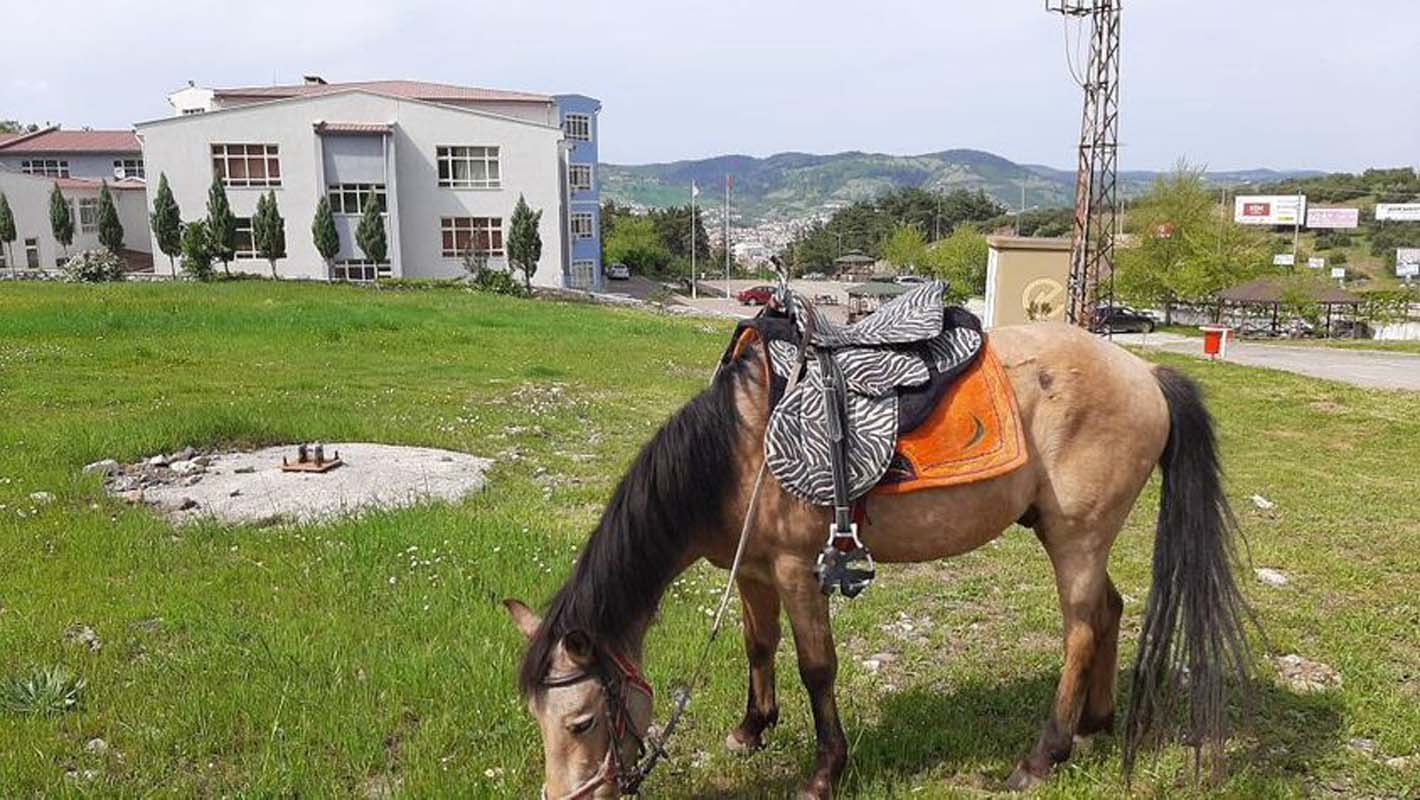 Otobüs zamlarından sonra okula atla gidip gelen üniversite öğrencisi o anları paylaştı! Bu da bizim farkımız