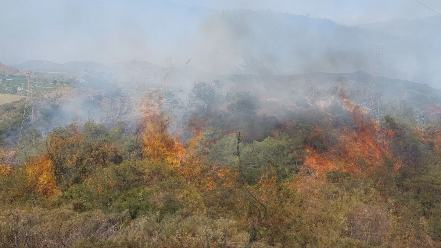 Son dakika | Muğla Dalaman'da orman yangını! Alevler hızla yayıldı 