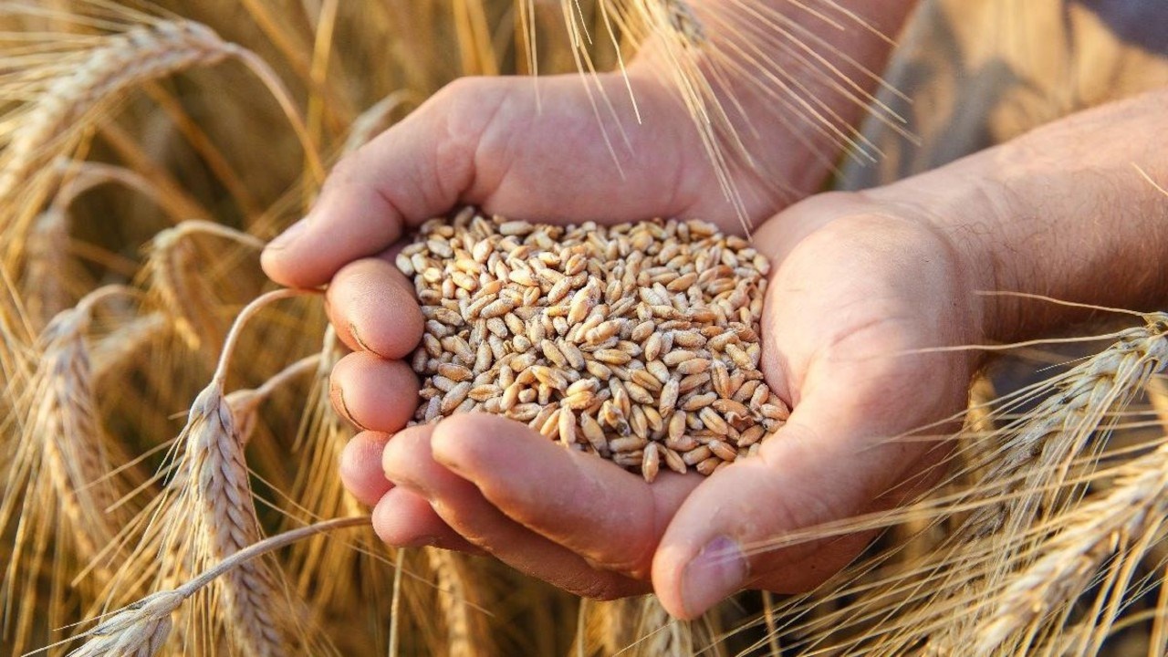 Son dakika! MSB duyurdu! Gıda krizi çözülüyor! Ukrayna'daki tahıl için Kırmızı Hat kuruluyor!