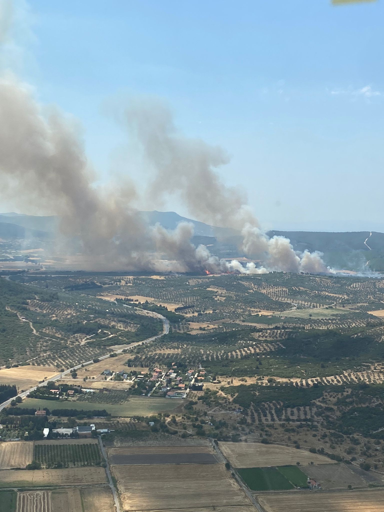 İzmir Foça'da orman yangını! Dumanlar gökyüzünü kapladı!