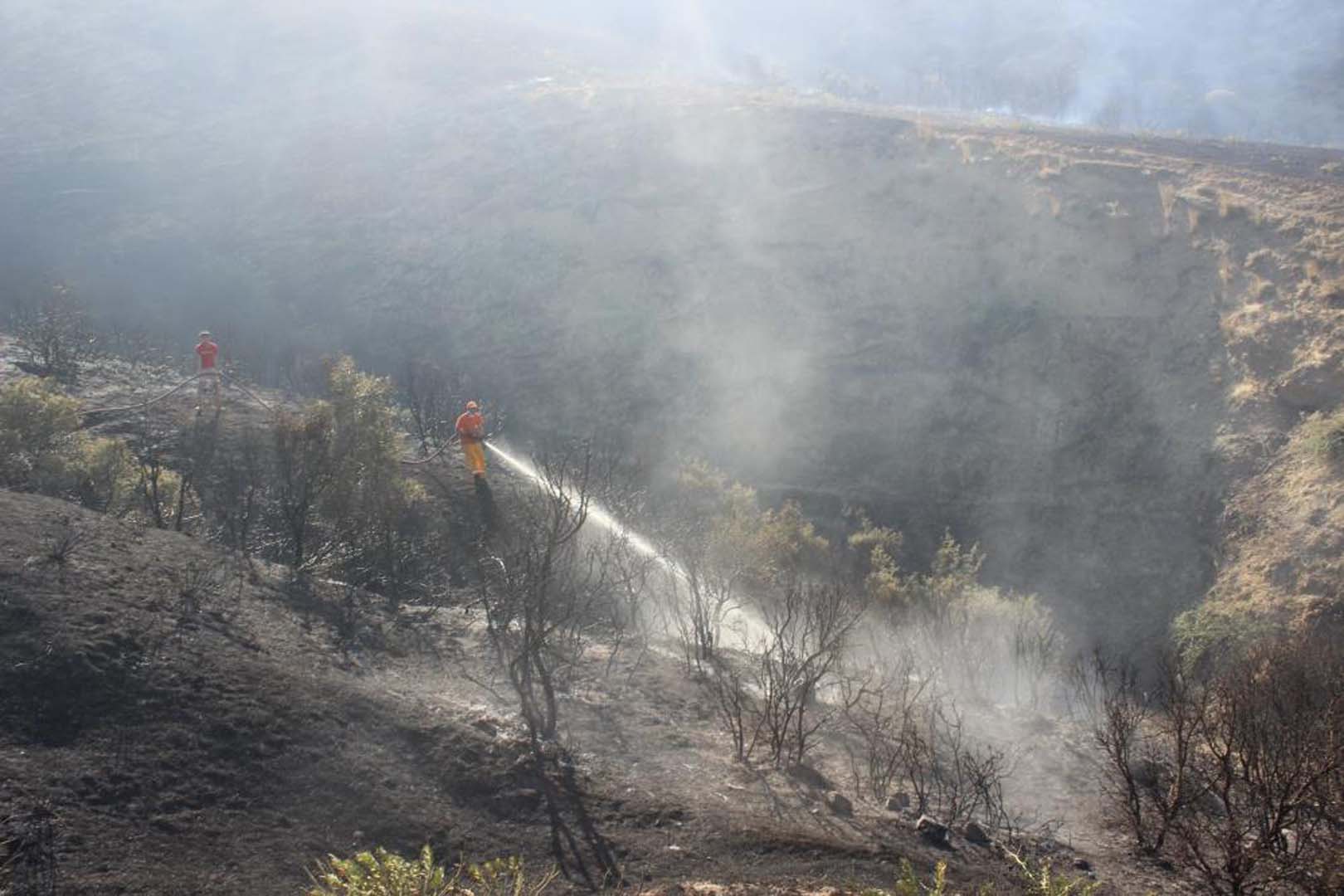 Manisa'da korkutan yangın! 105 dönüm ormanlık alan zarar gördü