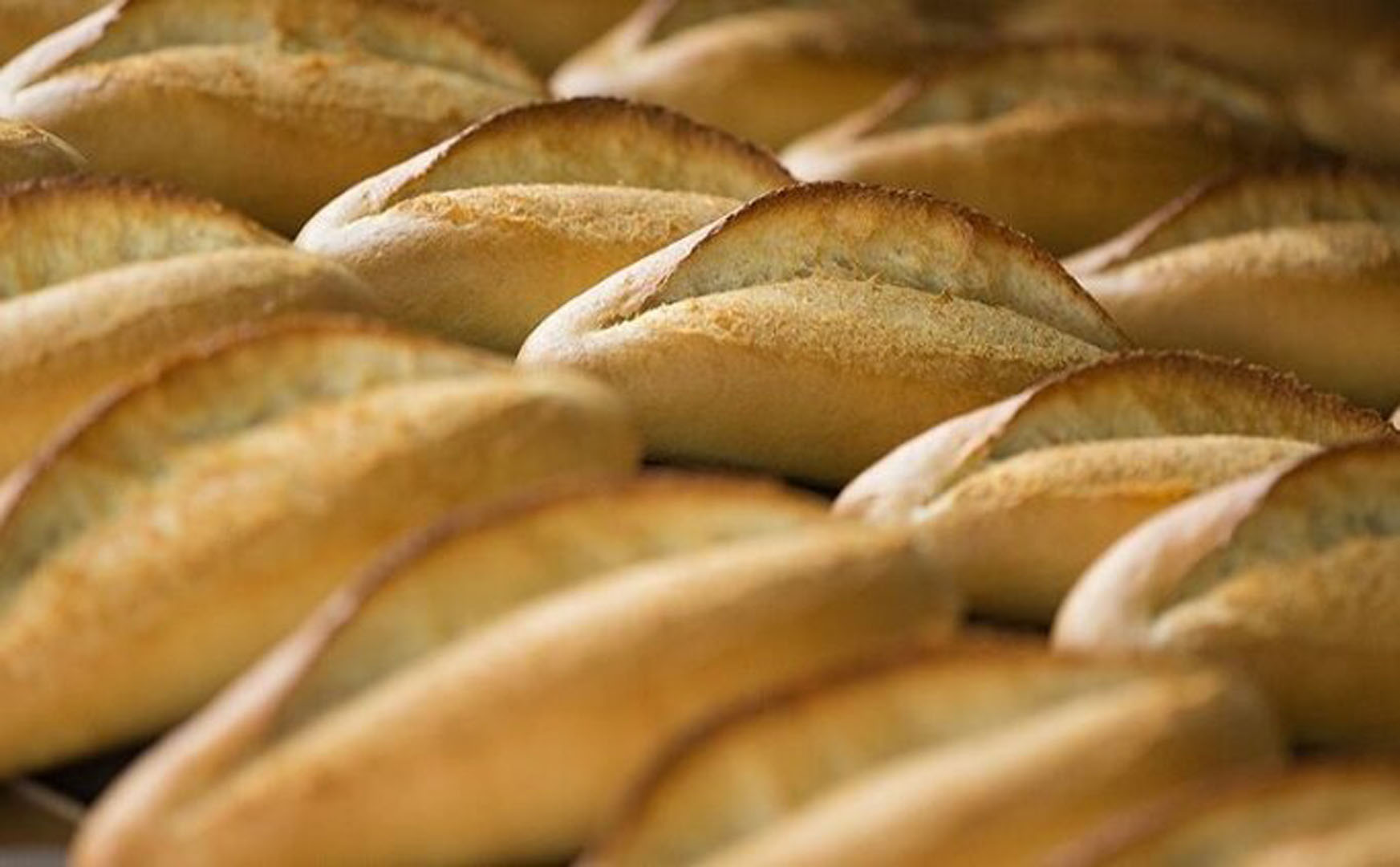 Ekmeğe zam geldi! Gramajı da düşürüldü! O ilde ekmek 4 lira oldu!