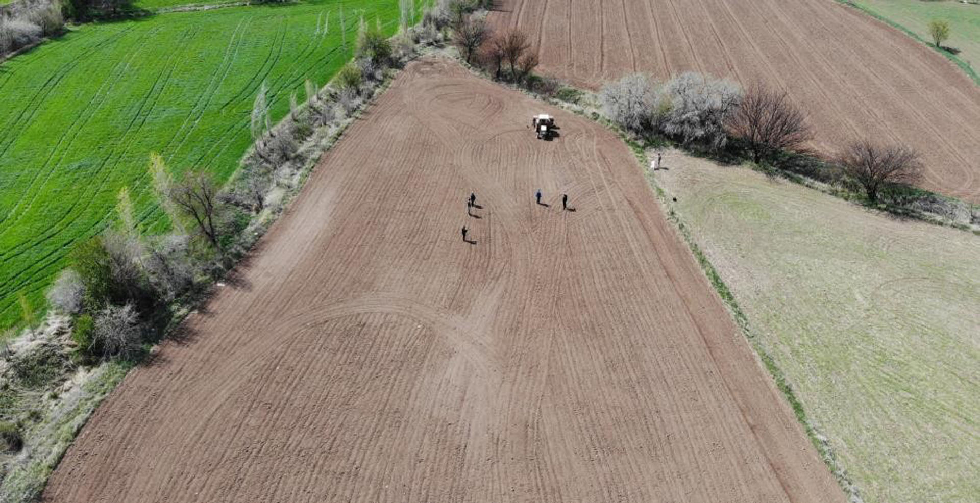 Hububat alım fiyatları güncellendi! Primler Temmuz ayından itibaren ödenecek!