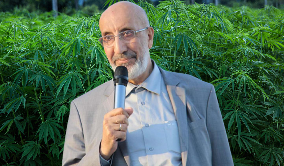 Abdurrahman Dilipak'ın istediği oldu! Rize'de kenevi fabrikası kuruluyor!