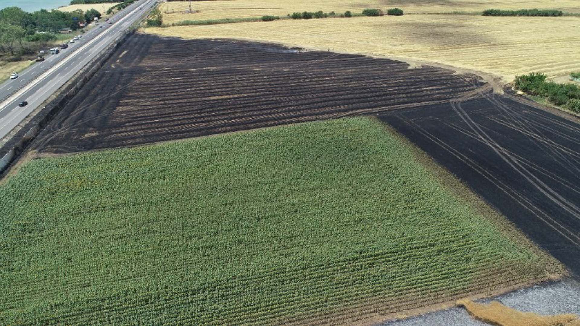 İstanbul-Tekirdağ yolunda yangın! 50 dönümlük tarla kül oldu!