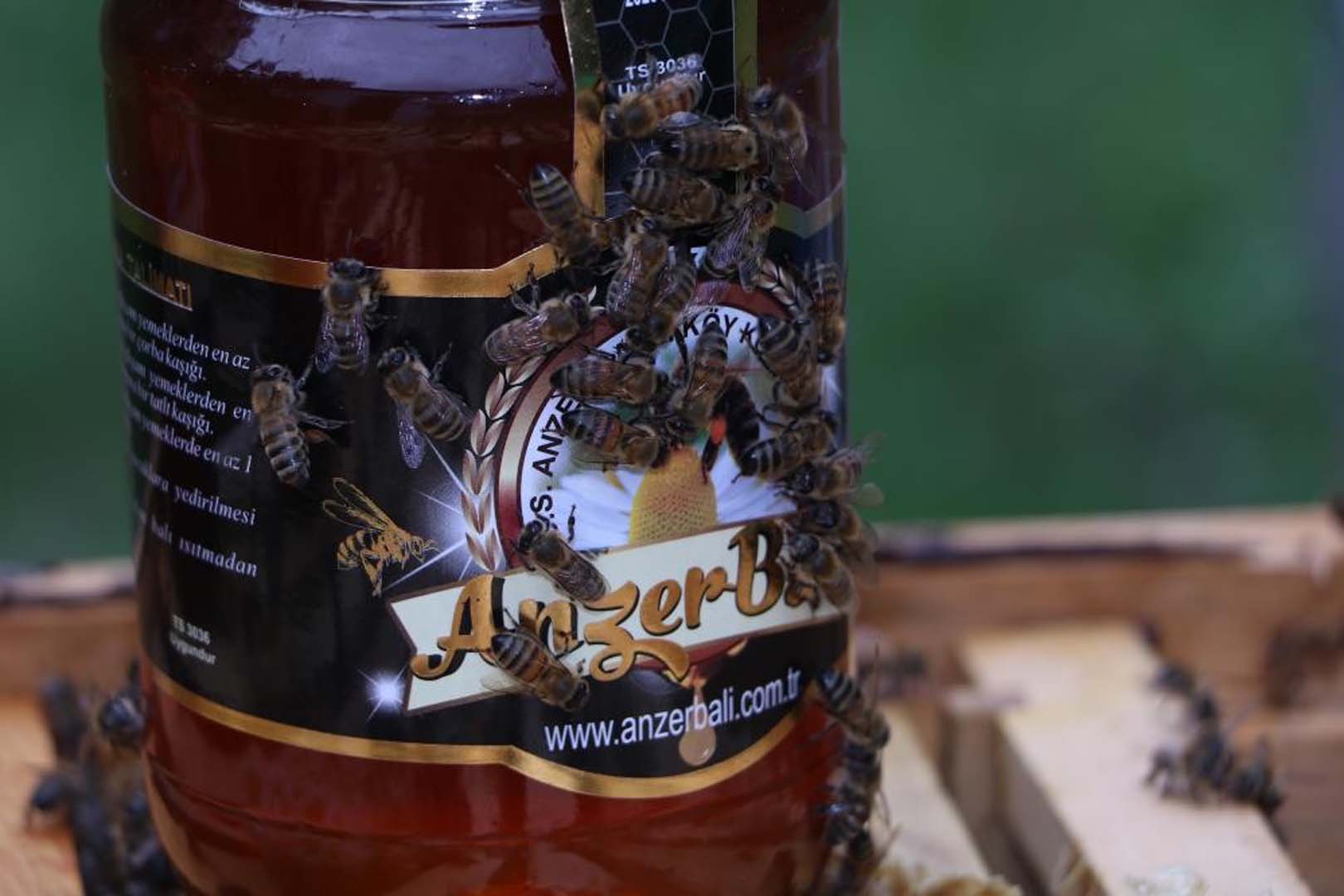 Coğrafi işaret tescili almıştı! Anzer balının kilogramı 2 bin liradan satılıyor!