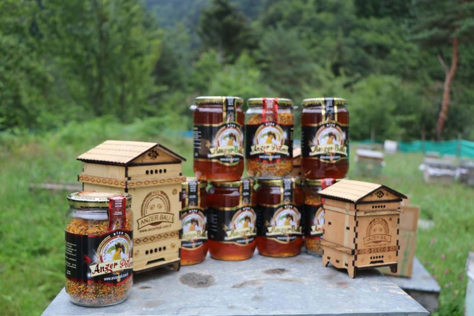 Coğrafi işaret tescili almıştı! Anzer balının kilogramı 2 bin liradan satılıyor!