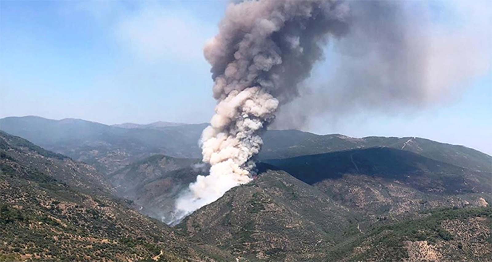 İzmir'de korkutan yangın! Ormanlar alevlere teslim oldu!