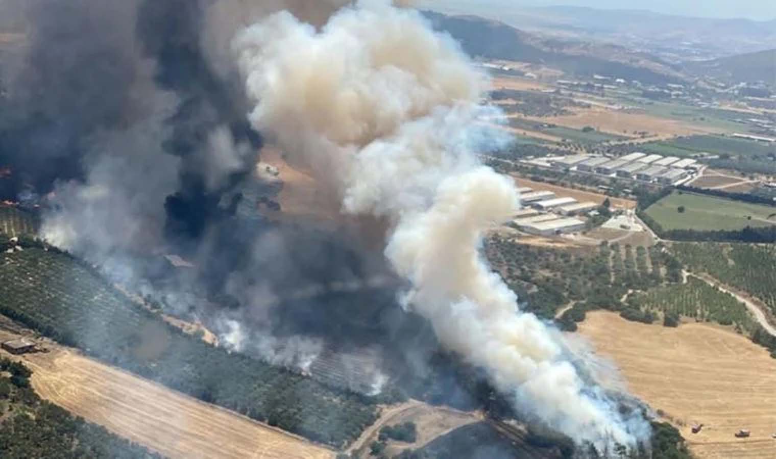 İzmir'de korkutan yangın! Ormanlar alevlere teslim oldu!