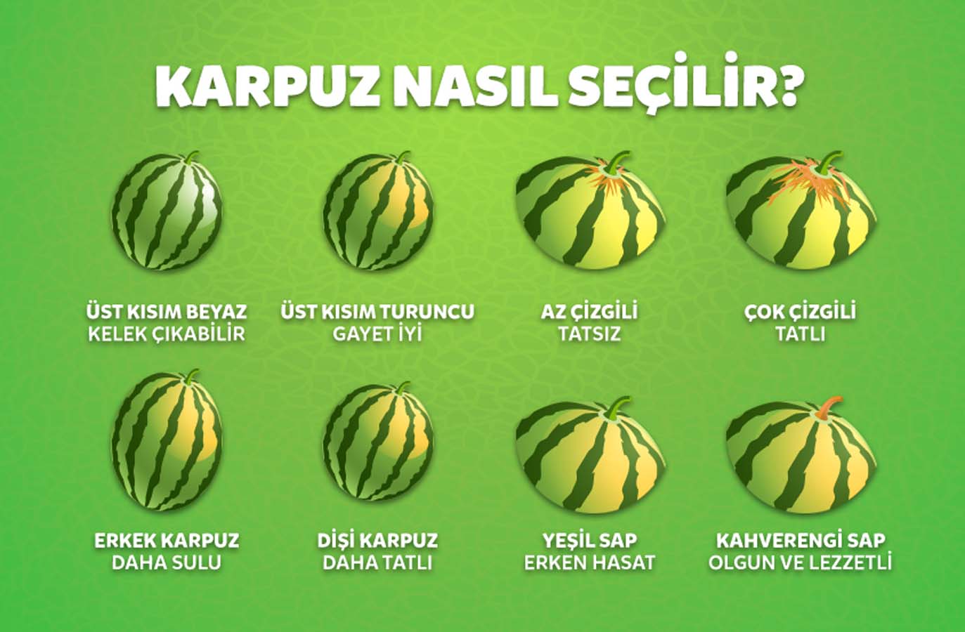 Karpuz seçerken nelere dikkat edilmeli? İyi bir karpuz nasıl seçilir, nasıl anlaşılır?